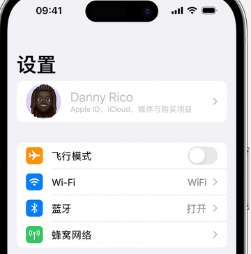 凤凰镇appleID维修服务iPhone设置中Apple ID显示为灰色无法使用 