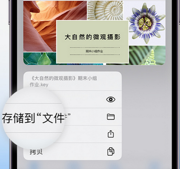 凤凰镇apple维修中心分享iPhone文件应用中存储和找到下载文件