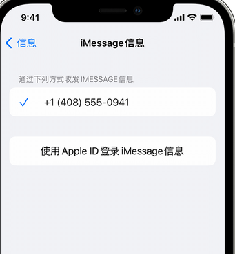 凤凰镇apple维修iPhone上无法正常发送iMessage信息 