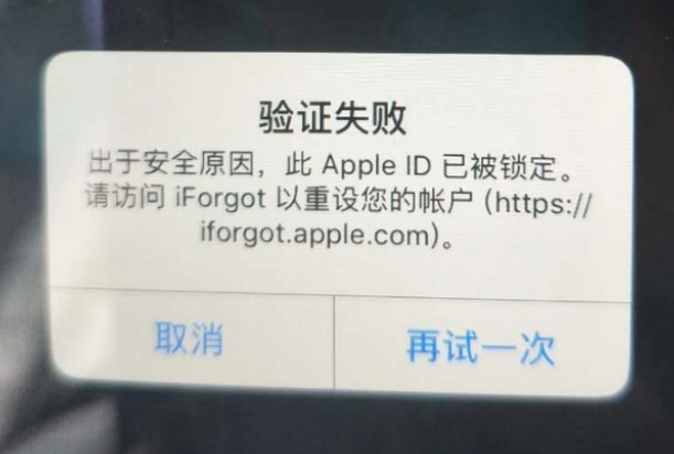 凤凰镇iPhone维修分享iPhone上正常登录或使用AppleID怎么办 