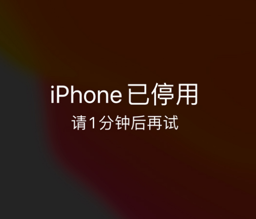 凤凰镇苹果手机维修分享:iPhone 显示“不可用”或“已停用”怎么办？还能保留数据吗？ 