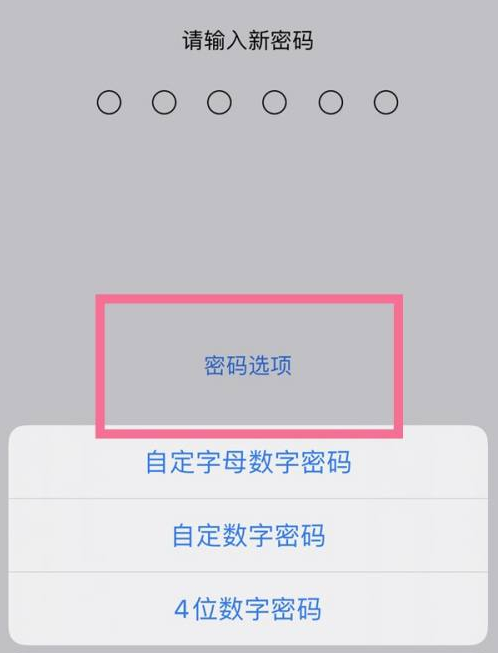 凤凰镇苹果14维修分享iPhone 14plus设置密码的方法 