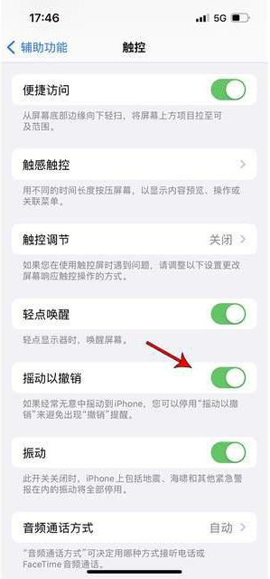 凤凰镇苹果手机维修分享iPhone手机如何设置摇一摇删除文字 