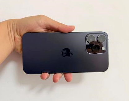 凤凰镇苹果维修点分享iPhone 14 Pro Max发烫多重诱因剖析 